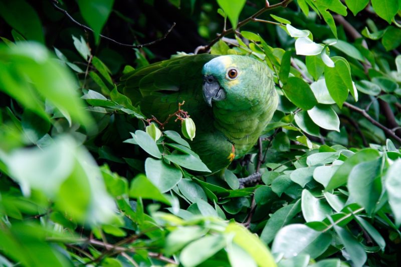 <div class=«block_hidden_only_for_screen»><H2>jungle du développement personnel évolution spirituelle Karen Guille Formation pendule radiesthésie</h2></div>